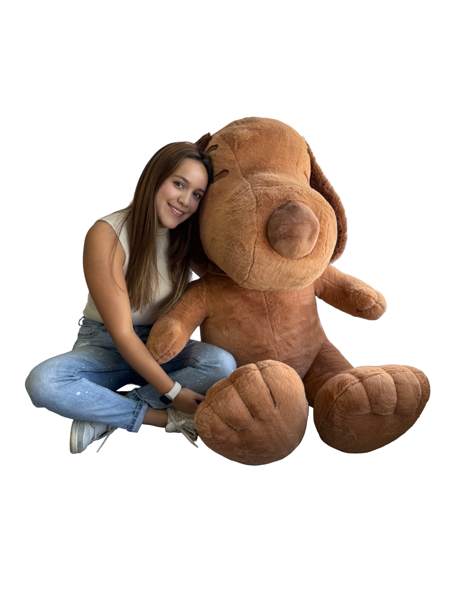 BROWN BIG PUPPY