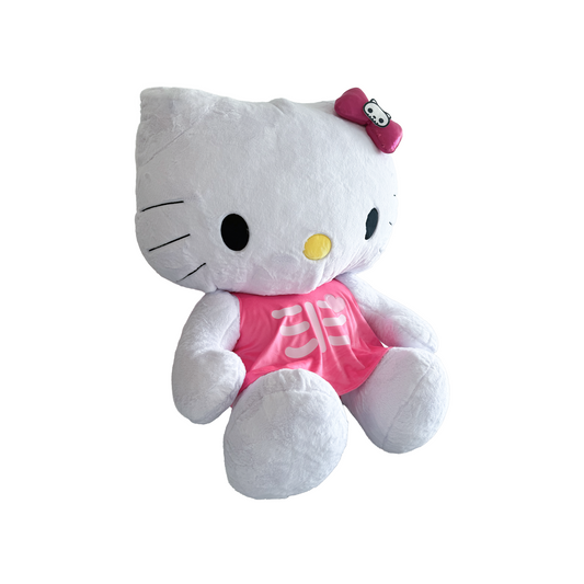 BOO KITTY